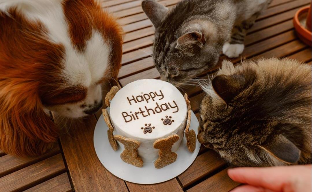 Hurra - du har bursdag!