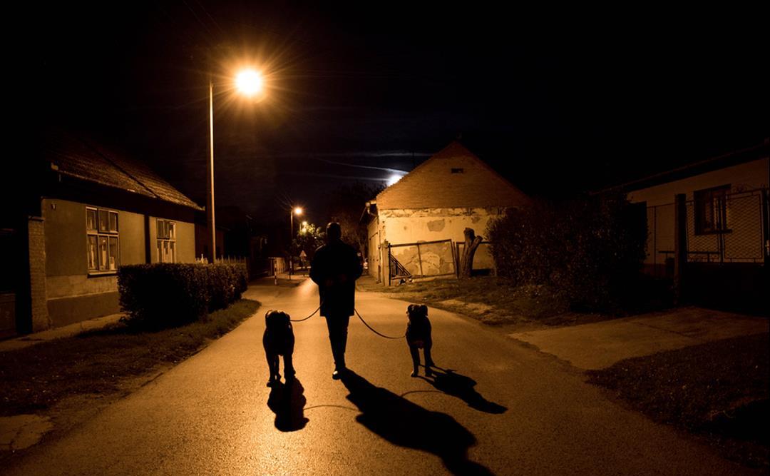 Refleks redder liv – både for dyr og mennesker