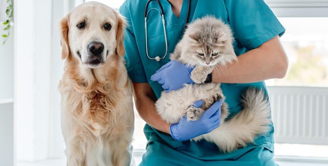 Forebygging lønner seg